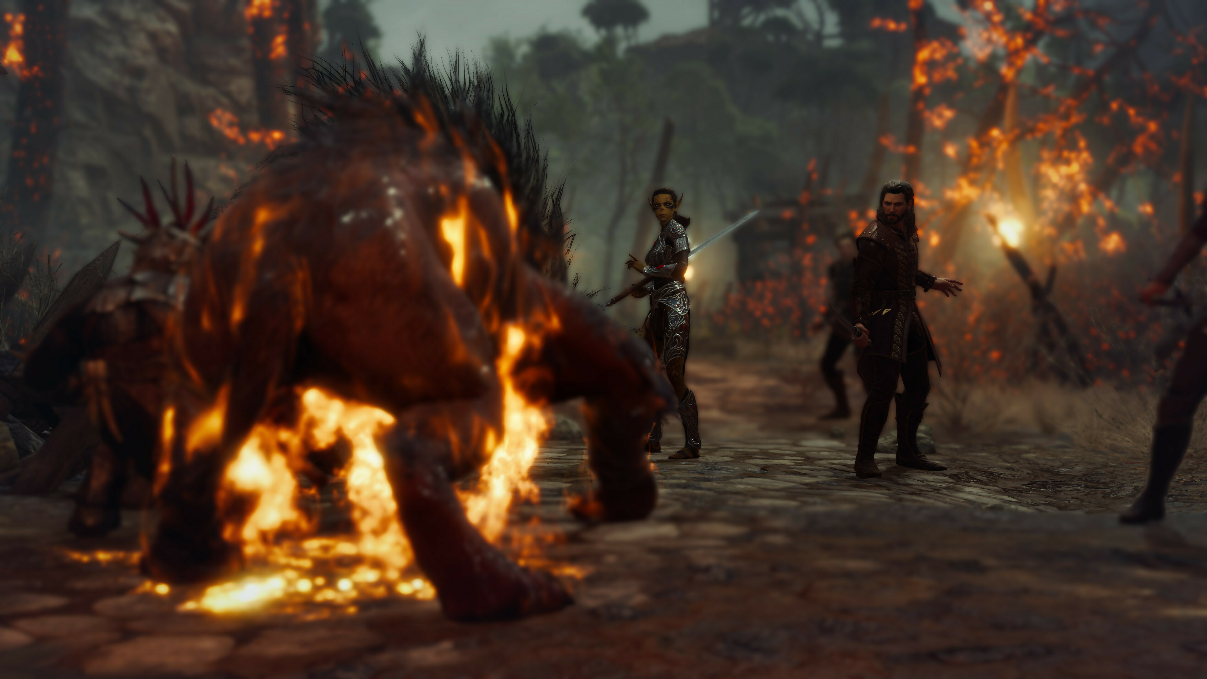 Baldur's Gate 3 screenshot